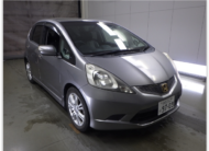 2010 HONDA FIT