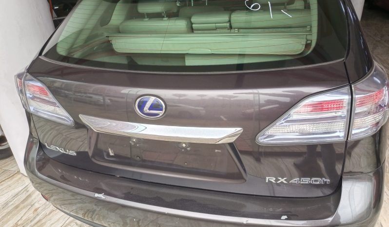 
								LEXUS RX450H full									